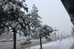 Erzurum’da kar yağışı etkili oldu
