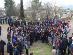 Diyarbakır Belediyesi köyümüzde hayvancılığı bitirecek video foto