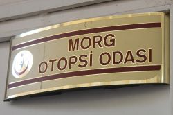 TRC-3 bölgesinin ölüm nedenleri