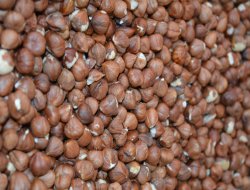 2015'te fındık fiyatı yüzde 60,2 arttı