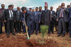 Gaziantep’te 3 bin fidan dikildi foto