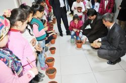 ‘Yeşeren Kalemler’ saksılara dikildi foto