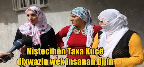 Nîştecihên Taxa Kuçê dixwazin wek însanan bijîn