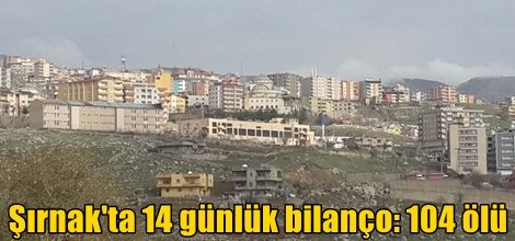 Şırnak'ta 14 günlük bilanço: 104 ölü