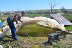 Çiftçiler sebze ekimi için kolları sıvadı