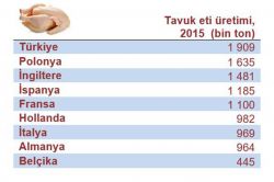 Türkiye tavuk eti üretiminde ilk sırada