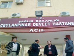 Ceylanpınar'da Kaza: 12 Yaralı