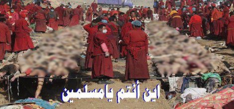 Arakanlı Müslümanlar; Ümmetin Gözü Önünde Yok Ediliyor