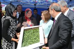Gaziantep’te çiftçilere 400 bin domates ve biber fidesi dağıtıldı foto