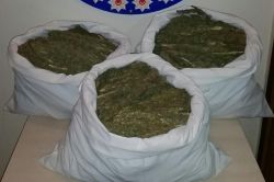 Şanlıurfa’da 32 kilo esrar ele geçirildi