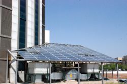 Şanlıurfa’da yenilebilir enerji için örnek proje foto