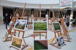 Batman'da tarım ve insan konulu fotoğraf sergisi açıldı foto