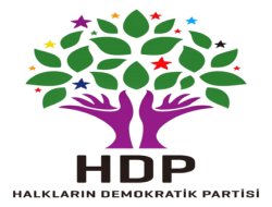 Mardin’in Ömerli ilçesinde HDP ilçe binasına polis baskını