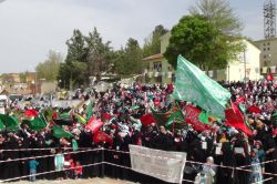 2016 Çınar kutlu doğum etkinliği video foto peygamber sevdalıları