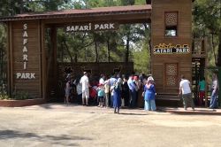 Gaziantep Hayvanat Bahçesine ziyaretçi akını video foto