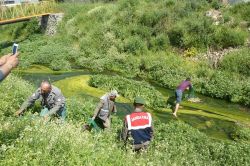 Mersin'in Anamur ilçesinde kurbağa toplayıcılarına 81 bin TL ceza foto