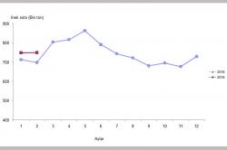 Süt ve süt ürünleri üretimi arttı