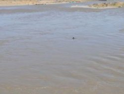 Kardeşini kutardı kendisi boğuldu