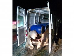 Wesayîta bardar a bombeyî hat bê bandordarkirin