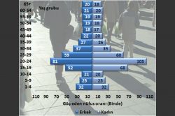 Yaklaşık 3 milyon kişi iller arası göç etti foto