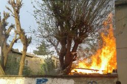 Çocukların ateşle oyunu bahçeyi yaktı