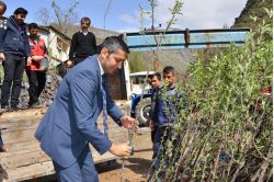 Uludere'de 11 bin fidan toprakla buluşacak