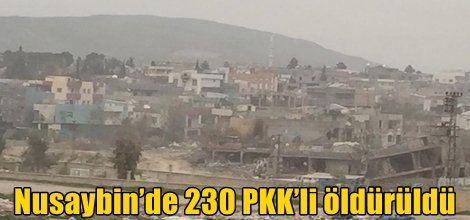 Nusaybin’de 230 PKK’li öldürüldü