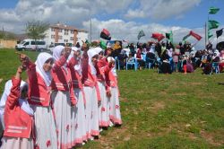 2016 Kozluk Ağaçlık Köyü kutlu doğum etkinliği foto peygamber sevdalıları