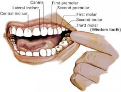 Özelde diş tedavisinin maliyeti: Yıllık 8 milyar TL