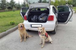 Diyarbakır’da 62 kilo uyuşturucu ele geçirildi