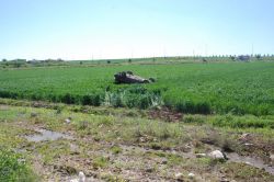 Diyarbakır'da trafik kazası video foto