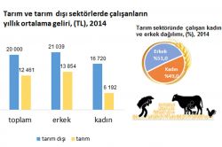 Tarım sektöründe ortalama gelir daha düşük oldu