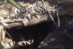 Bingöl'ün Gerçekli köyü Kapalı Mezra kırsalında 2 PKK’li öldürüldü foto