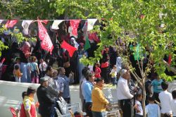 2016 Diyarbakır Karpuzlu köyü kutlu doğum etkinliği video foto peygamber sevdalıları