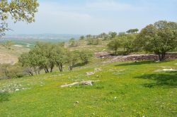 Batman’da 300 dönüm üzerinde piknik alanı yapılıyor video foto