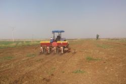 Harran Ovasında ‘Beyaz Altın’ın ekimine başlandı