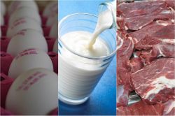 Et, süt ve yumurta fiyatları 2015 yılında arttı