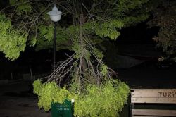 Iğdır'da fırtına hasara yol açtı