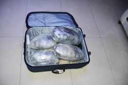 Uyuşturucu operasyonunda 4 kişi tutuklandı