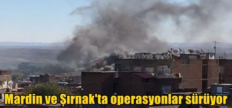 Mardin ve Şırnak'ta operasyonlar sürüyor