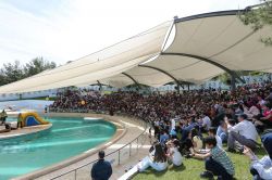 Gaziantep Hayvanat Bahçesine ziyaretçi akını