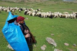 Hayvanlarını yaylalara götüremeyen köylüler zor günler yaşıyor