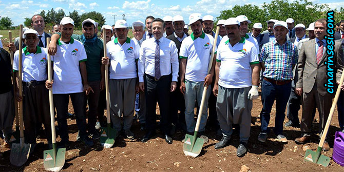 Diyarbakır Eğil’de ceviz ve badem dikimi yapıldı