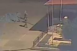 Tarsus'ta 9 PKK'li tutuklandı