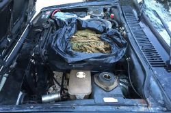 Diyarbakır’da uyuşturucu baskınları-foto