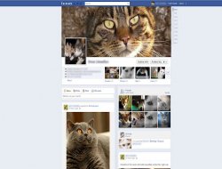 Böyle Chrome eklentisi görmediniz
