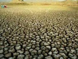 "Konya, kuraklık konusunda en hassas bölgedir"