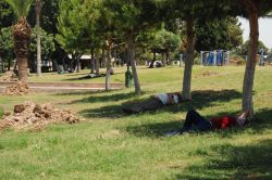 Mersinliler ağaçların gölgesinde serinlenmeye çalıştı foto