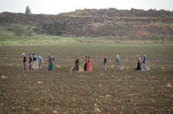 Kayıt dışı istihdamın en yüksek olduğu sektör tarım