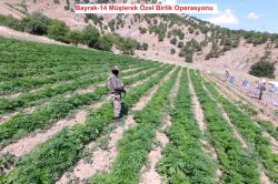 Lice’de PKK’ye ait 2 sığınak bulundu foto